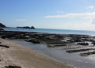 cancale private tour from saint malo